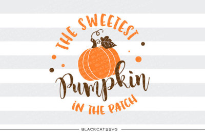The sweetest pumpkin in the patch - SVG file 