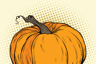 Ripe pumpkin, Thanksgiving or Halloween