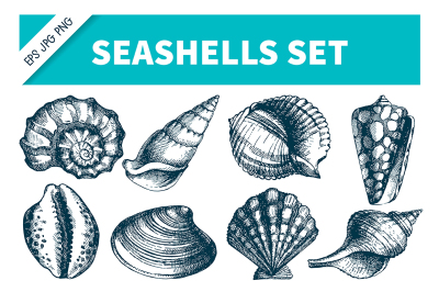 Seashells Hand Drawn Sketch Vector Set
