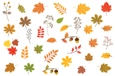 Autumn leaves, Fall foliage, Colorful leaf silhouettes