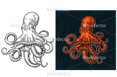 Octopus. Vector color engraving