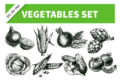 Vegetables Hand Drawn Sketch Vector Set 1