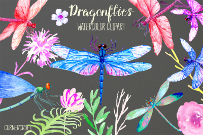 Watercolor Dragonfly Damselfly