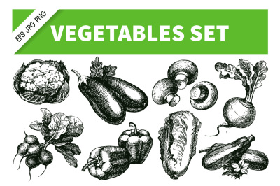 Vegetables Hand Drawn Sketch Vector Set 2