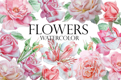 Flowers. Watercolor.