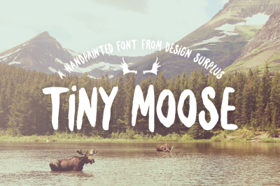 Tiny Moose Font