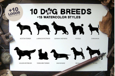 Dog Breeds Vol1 x10 + Extras