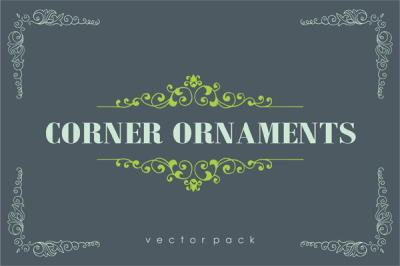 24 Ornaments Vector Pack