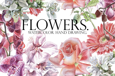 Flowers. Watercolor. Hand drawing.
