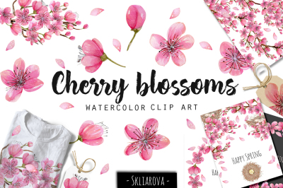 Cherry blossoms. Watercolor clip art collection.