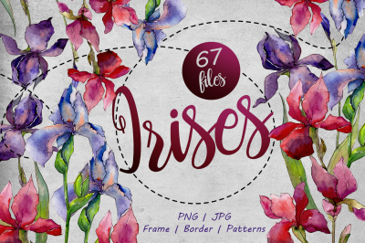 Colorful irises PNG watercolor set