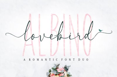 Albino Lovebird - Font Duo