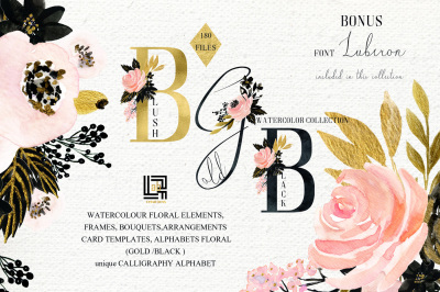 Blush Gold Black. Watercolour flowers Digital clipart designer kit.