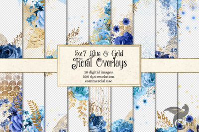 5x7 Blue and Gold Floral Overlays