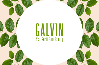 Galvin Slab Serif Font Family Pack