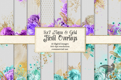 5x7 Aqua, Purple and Gold Overlays