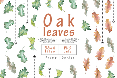 Oak leaves PNG watercolor set