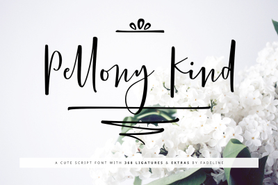 Pellony Kind Cute Script