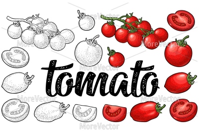Set of hand drawn tomatoes and calligraphic lettering 