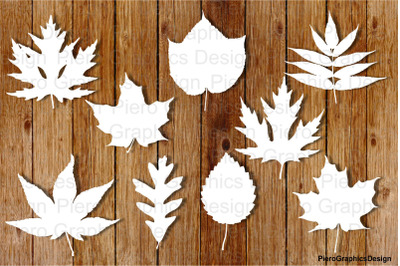 Leaves SVG files for Silhouette Cameo and Cricut