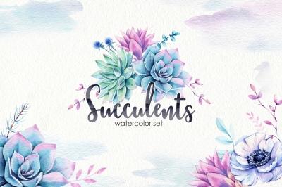 Succulents & Anemones Waterclor Set