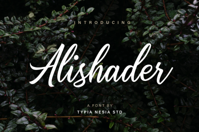 Alishader