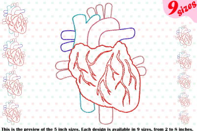 Heart Outline Embroidery Design biology Medic Organs Anatomy 202b