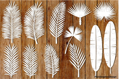 Tropical Leaves (set2) SVG files for Silhouette Cameo and Cricut.