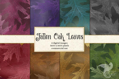 Fallen Oak Leaf Backgrounds