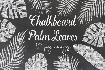 Chalkboard Palm Leaves