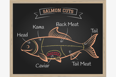 Salmon Cuts Illustration