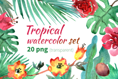 Tropical watercolor set