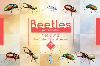 Beetles JPG watercolor set