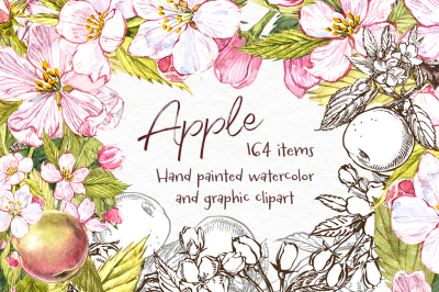 Apple.Graphic & Watercolor clipart