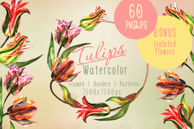 Colorful tulips JPG watercolor set