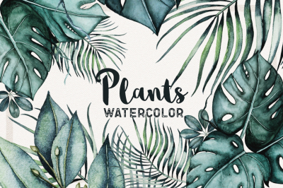 Watercolor Plants