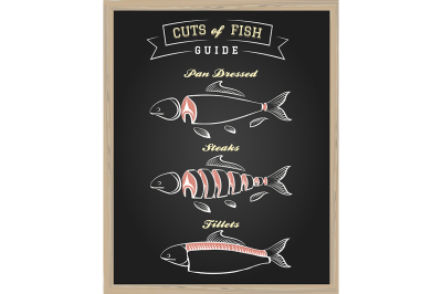 Cuts of Fish Guide Illustration