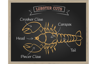 Lobster Cuts Illustration