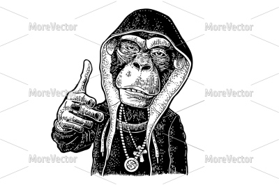Monkey raper dressed in the hoodie, necklace with dollar, cross. Showi