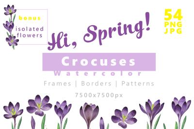 Crocuses flower PNG watercolor set