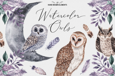 Watercolor Owls