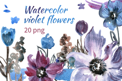 Watercolor violet flowers