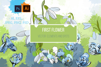 First flowers. Snowdrops. Vector
