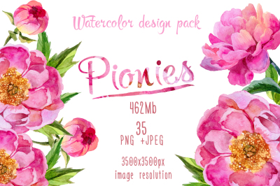 Paradise pink peonies PNG watercolor set