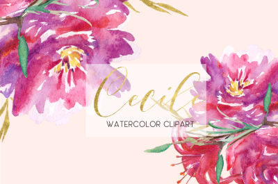 Cecile. Red roses watercolor clipart.