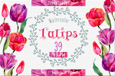 Tulips PNG watercolor flower set