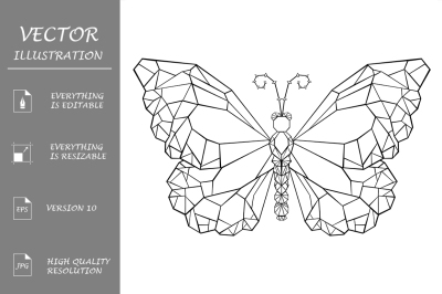 Polygonal Butterfly Monarch