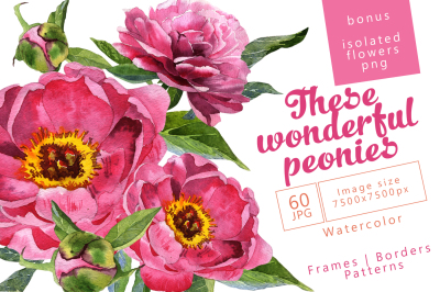 Wonderful peonies PNG watercolor set