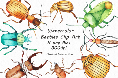 Watercolor beetles clipart