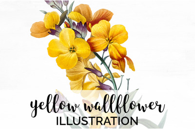 Yellow Flower Clipart